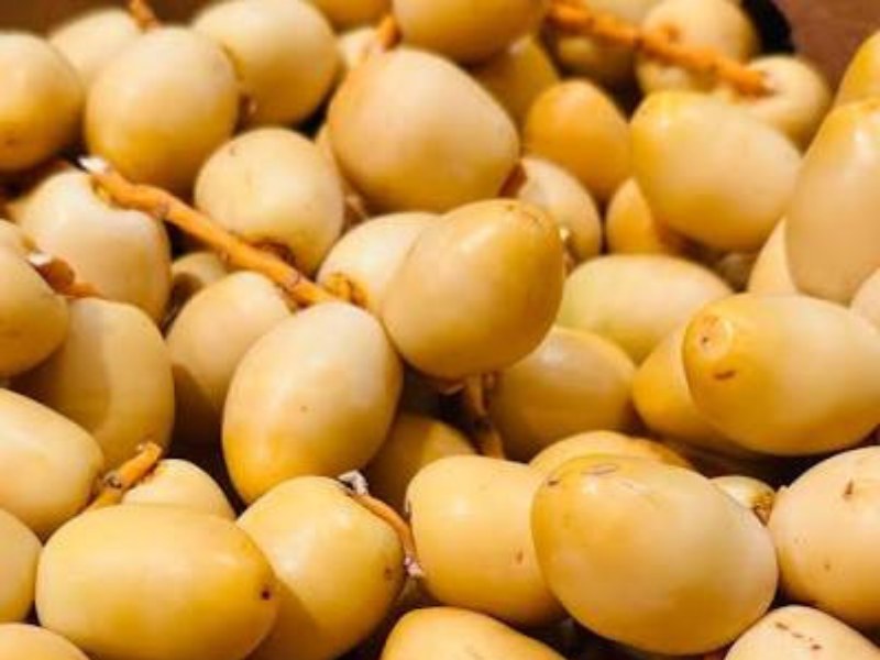 Balah Barhi dates from Al Freihat